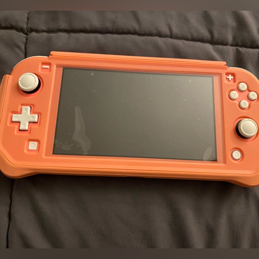 Nintendo switch lite